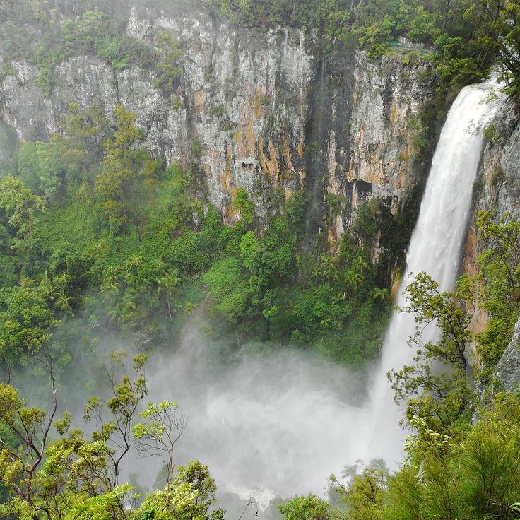 Springbrook nasjonalpark