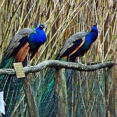 Centro di scienze naturali