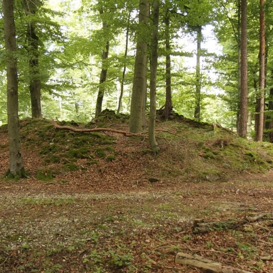 Burgstall Breitenthal