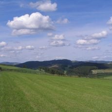 Goldener Strauch