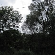 Manor park in Platyny