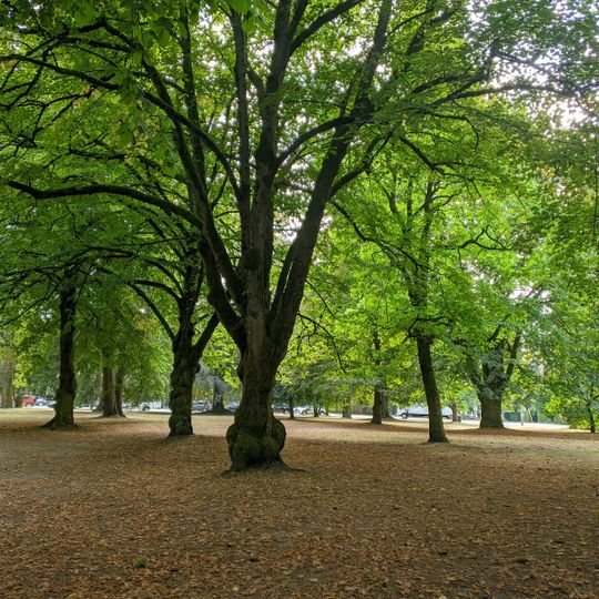Shaughnessy Park