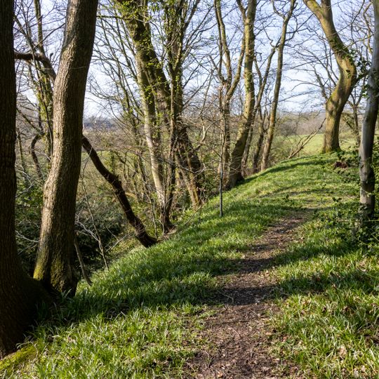 Ringwork castle in Bailey's Wood