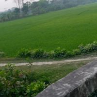 distretto di Barisal