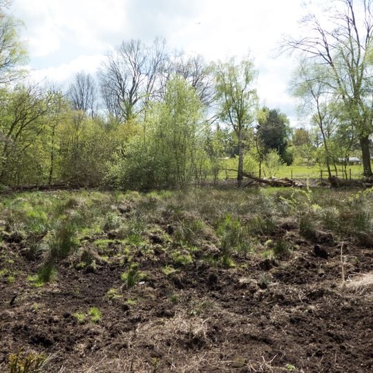 Glühwürmchengrund und Immenweide