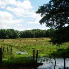 Eselsbett und Schwarzes Bruch