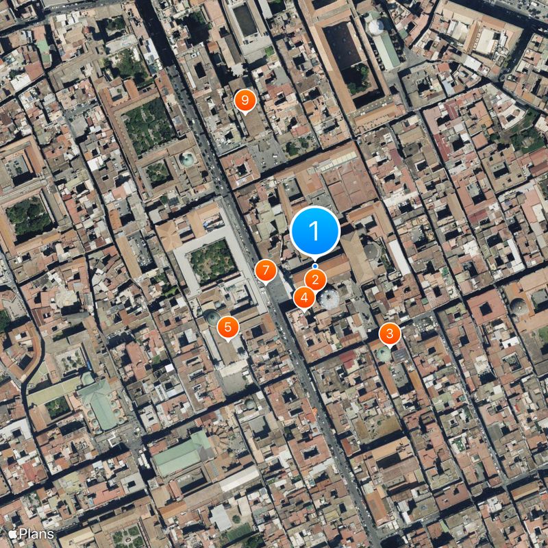 Cathédrale Notre-Dame-de-l'Assomption de Naples Carte