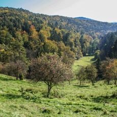 Schottental bei Heldmannsberg