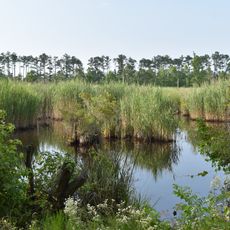 Alligator River National Wildlife Refuge