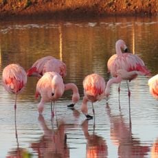 Parc zoologique Val d'Hérault nature