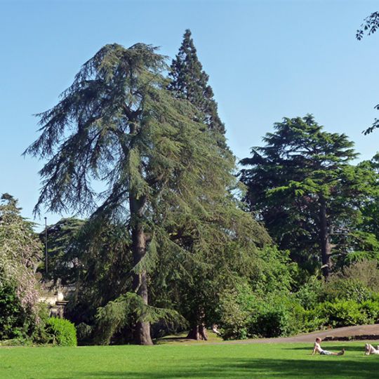 Sydney Gardens