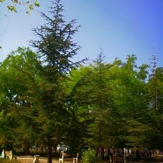 Nevsky square, Simferopol
