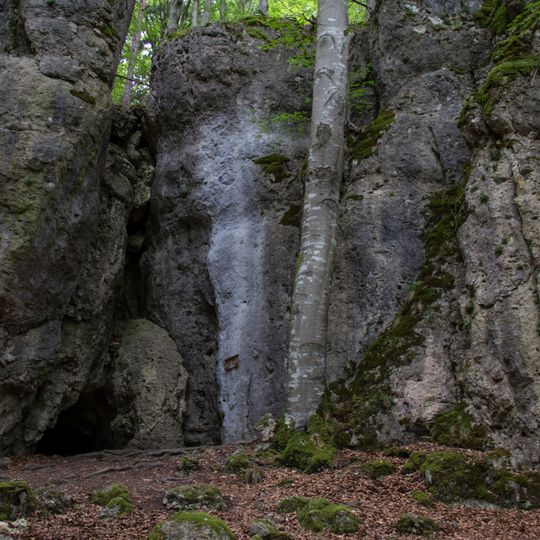 Saalburg mit Höhlen SE von Plech
