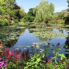 Le jardin d’eau
