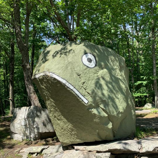 Frog Rock