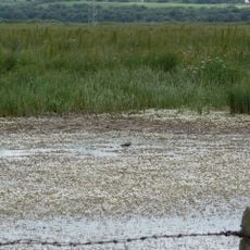 Marismas del Barbate