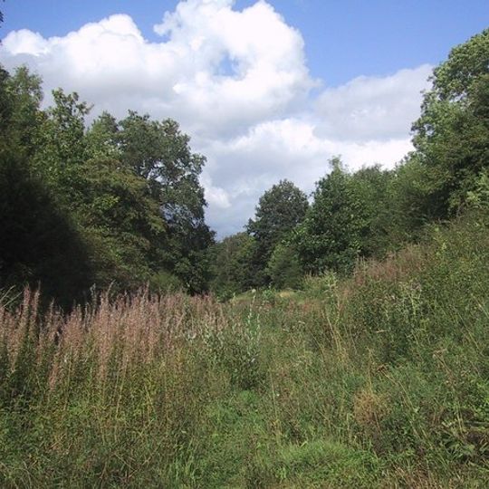 Chipping Norton Limestone