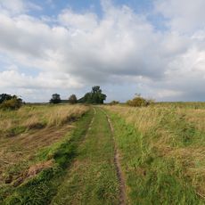 Boddenküste am Strelasund