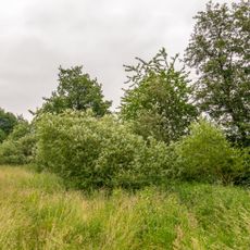 Bachtal in Breden