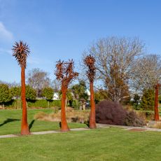 Is Man an Ape or Angel?