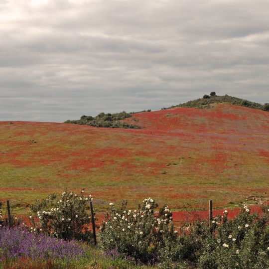 São João dos Caldeireiros