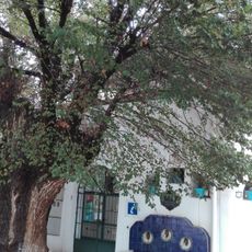 Museo Memoria del Agua