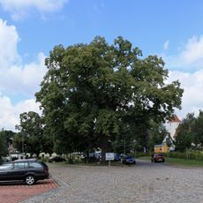 Pflasterung des Dorfplatzes und der darauf zuführenden Dorfstraßen Lindenplatz -
