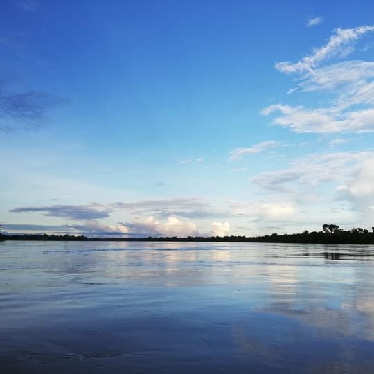 Japurá River