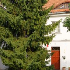 6/VIII, Wieniawskiego Street in Warsaw