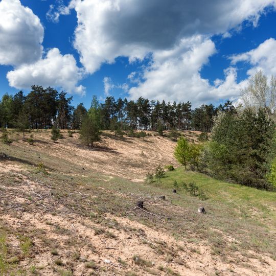 Flechten-Kiefernwälder südlich Leinburg