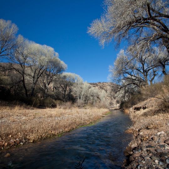 San Pedro Riparian National Conservation Area