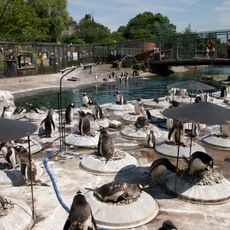Zoológico de Edimburgo