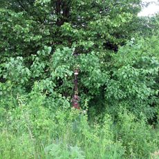 Kříž severně od Dožic