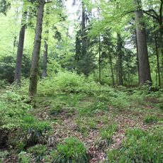 Oberes Zwickauer Muldetal