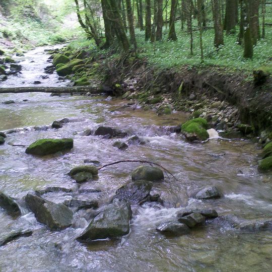 Ammertal im Bereich der Ammerleite und Talbachhänge