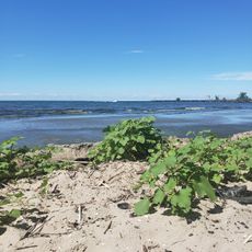 Oak Orchard State Marine Park