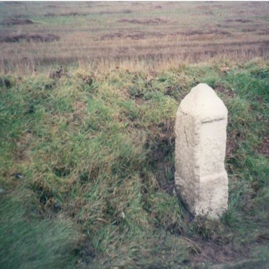 Milestone At Sw706479