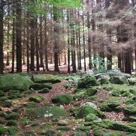 Kilmashogue Wedge Tomb