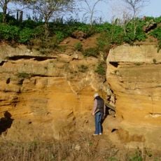 Coralline Crag Formation