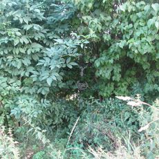 Kříž v křoví východně od Kobylí a Plchova