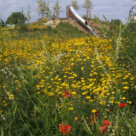 Bürgerpark Feudenheim