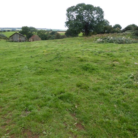 Terrace Hills Pasture
