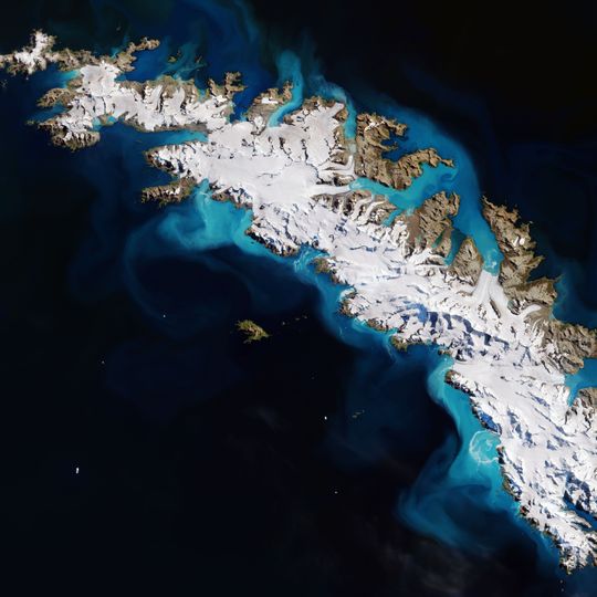 South Georgia group