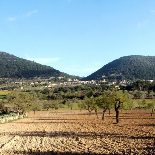 Puig de Randa