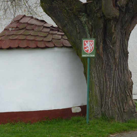 Lípa u kapličky ve Žlutavě