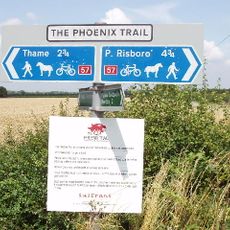 Phoenix Trail