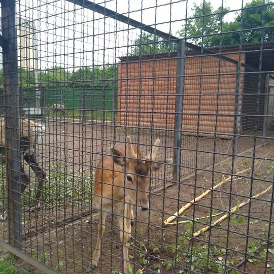 Ивановский зоопарк