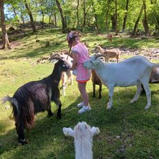 Ferme Pédagogique - Les Jours Heureux