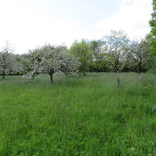 Streuobstwiese