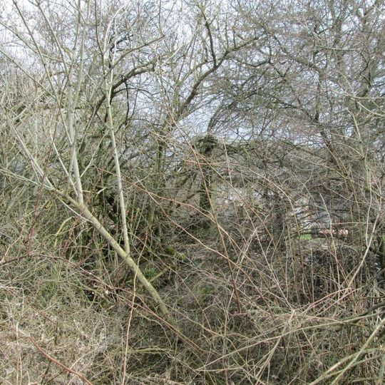 Kříž jižně od Pořežánek